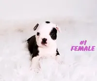 processed/7e26c072-15b5-45f1-a6c7-c43016ed5894/facility/c06a5068-9483-4726-bfb2-fa5850ce2883