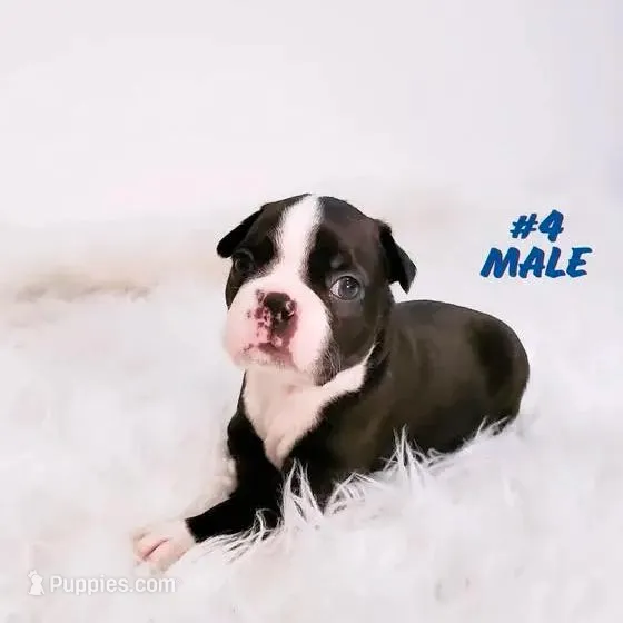 processed/7e26c072-15b5-45f1-a6c7-c43016ed5894/facility/c938cb7a-7193-4444-8ea9-d0d9e3f54ebd