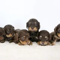 processed/7e284ddd-f321-45eb-80c7-1dec54482d89/facility/0b7d020f-174d-4dd8-96e1-4ab0e2bb10e9