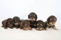 processed/7e284ddd-f321-45eb-80c7-1dec54482d89/facility/0b7d020f-174d-4dd8-96e1-4ab0e2bb10e9