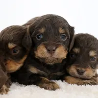 processed/7e284ddd-f321-45eb-80c7-1dec54482d89/facility/4069f19c-2ea5-4af4-a9ba-dd2d1ac18421