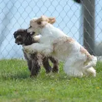 processed/7e28b5c5-a1d1-4132-8250-c38b15c86b6c/facility/a2e9d1bd-5d82-436d-823e-f30776cc28db