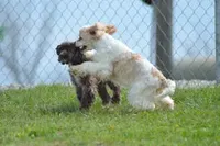 processed/7e28b5c5-a1d1-4132-8250-c38b15c86b6c/facility/a2e9d1bd-5d82-436d-823e-f30776cc28db