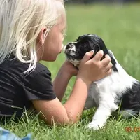 processed/7e28b5c5-a1d1-4132-8250-c38b15c86b6c/facility/b09fa8ab-067e-4645-b971-6ba88e210044