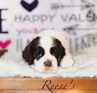 processed/7e28b5c5-a1d1-4132-8250-c38b15c86b6c/listing/5d11f277-8890-4494-96e4-499852e33319/001c0c9f-7466-4b44-a5fe-948139e0cc80