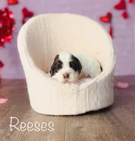 processed/7e28b5c5-a1d1-4132-8250-c38b15c86b6c/listing/5d11f277-8890-4494-96e4-499852e33319/7dbde8b2-76ba-4ba1-97d4-c3cc2a8f7697