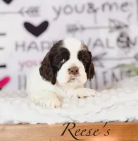 processed/7e28b5c5-a1d1-4132-8250-c38b15c86b6c/listing/5d11f277-8890-4494-96e4-499852e33319/906edbce-d2a3-46aa-9faa-e42a114ff233