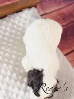 processed/7e28b5c5-a1d1-4132-8250-c38b15c86b6c/listing/5d11f277-8890-4494-96e4-499852e33319/a5d18729-10ed-47fd-b197-50c14e11474f