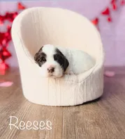 processed/7e28b5c5-a1d1-4132-8250-c38b15c86b6c/listing/5d11f277-8890-4494-96e4-499852e33319/ca910e40-3c50-4823-a115-310531b9627c