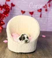 processed/7e28b5c5-a1d1-4132-8250-c38b15c86b6c/listing/5e540095-53a9-4a41-9238-2c478f56e155/0351a351-207e-46d5-9b1d-7834ea4a1fee