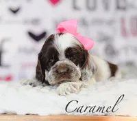 processed/7e28b5c5-a1d1-4132-8250-c38b15c86b6c/listing/5e540095-53a9-4a41-9238-2c478f56e155/21b3cebc-73df-4064-a570-a69a5f207c23