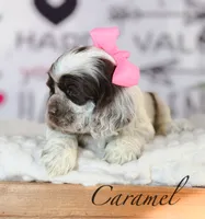 processed/7e28b5c5-a1d1-4132-8250-c38b15c86b6c/listing/5e540095-53a9-4a41-9238-2c478f56e155/6c191031-a802-42df-9395-34af48109155