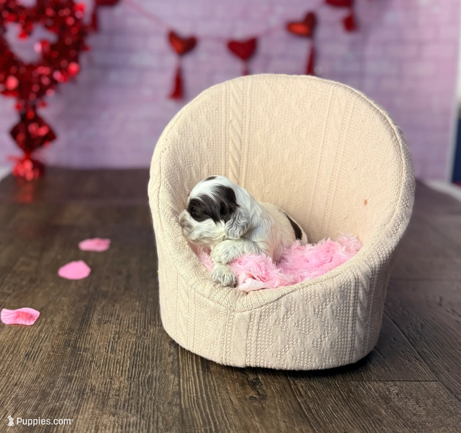 processed/7e28b5c5-a1d1-4132-8250-c38b15c86b6c/listing/5e540095-53a9-4a41-9238-2c478f56e155/c148b9b4-b66c-4cc6-8ab7-551a18dc50f2