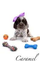 processed/7e28b5c5-a1d1-4132-8250-c38b15c86b6c/listing/5e540095-53a9-4a41-9238-2c478f56e155/c983b5a3-4770-4080-9d89-450256b651ab