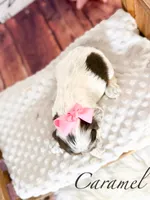 processed/7e28b5c5-a1d1-4132-8250-c38b15c86b6c/listing/5e540095-53a9-4a41-9238-2c478f56e155/e2a04312-f4f4-4e38-b36c-4c982aa93a72