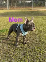 processed/7e2960c3-aa45-4aa4-8ce9-f6b61b07dd0f/facility/0f69d889-9a09-4169-a5c7-2b6927018a17