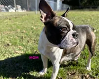 processed/7e2960c3-aa45-4aa4-8ce9-f6b61b07dd0f/facility/58e27473-056c-4fa3-a847-7a794507769d