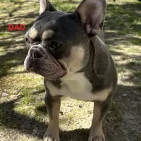 processed/7e2960c3-aa45-4aa4-8ce9-f6b61b07dd0f/facility/89303449-4e0a-4042-a75d-84074f9b5a70