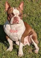 processed/7e2960c3-aa45-4aa4-8ce9-f6b61b07dd0f/facility/9a6028bd-bf1e-41a0-a80f-08b3a5239f62