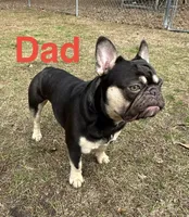 processed/7e2960c3-aa45-4aa4-8ce9-f6b61b07dd0f/facility/cf16a9cb-8014-4ad3-b1d2-e5bb8966370d