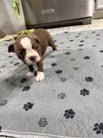 processed/7e2960c3-aa45-4aa4-8ce9-f6b61b07dd0f/listing/74b9aafe-5256-452f-8bd0-c2fe4c4d66dd/1d4a212a-71ec-4444-9a74-92d14e033c1a