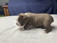 processed/7e2960c3-aa45-4aa4-8ce9-f6b61b07dd0f/listing/74b9aafe-5256-452f-8bd0-c2fe4c4d66dd/318da7e6-bc4c-404f-a545-5afa46b6e433