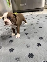 processed/7e2960c3-aa45-4aa4-8ce9-f6b61b07dd0f/listing/74b9aafe-5256-452f-8bd0-c2fe4c4d66dd/6a7fea8f-0082-4dd4-83ec-69342a7e67dc