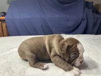 processed/7e2960c3-aa45-4aa4-8ce9-f6b61b07dd0f/listing/74b9aafe-5256-452f-8bd0-c2fe4c4d66dd/7ec2ec78-2c12-4753-af22-be1f4484b2d9