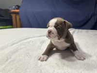 processed/7e2960c3-aa45-4aa4-8ce9-f6b61b07dd0f/listing/74b9aafe-5256-452f-8bd0-c2fe4c4d66dd/a86a63e6-7cce-4412-b041-deb3fb898cff