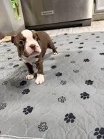 processed/7e2960c3-aa45-4aa4-8ce9-f6b61b07dd0f/listing/74b9aafe-5256-452f-8bd0-c2fe4c4d66dd/f73e033b-5764-4a2f-ad77-2b339c1201cd