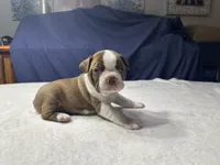 processed/7e2960c3-aa45-4aa4-8ce9-f6b61b07dd0f/listing/b8f712a6-3034-4186-b472-78df3a01fb6c/af5e509e-eb88-4e4f-bc8a-7372f12315ed