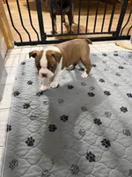 processed/7e2960c3-aa45-4aa4-8ce9-f6b61b07dd0f/listing/b8f712a6-3034-4186-b472-78df3a01fb6c/b9a3bede-d5d0-419e-8b46-0bbfec558772