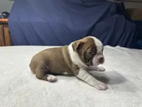 processed/7e2960c3-aa45-4aa4-8ce9-f6b61b07dd0f/listing/b8f712a6-3034-4186-b472-78df3a01fb6c/d4e6ecd1-d5d3-4728-8582-2bab12a9a6ce