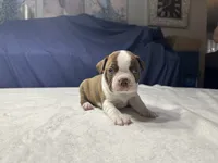 processed/7e2960c3-aa45-4aa4-8ce9-f6b61b07dd0f/listing/b8f712a6-3034-4186-b472-78df3a01fb6c/d77b2e2a-ac7f-42ed-a0c7-d00a56e330bd