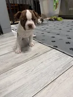 processed/7e2960c3-aa45-4aa4-8ce9-f6b61b07dd0f/listing/b8f712a6-3034-4186-b472-78df3a01fb6c/fa331413-300f-4984-9e16-91acd2d8ce2c