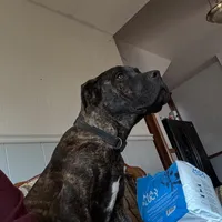 processed/7e297ba2-f4c4-410c-b167-b8451ad8fd57/facility/47a8d25a-3625-4d4d-9fa2-8a2d637739f2