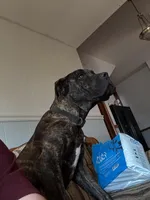 processed/7e297ba2-f4c4-410c-b167-b8451ad8fd57/facility/47a8d25a-3625-4d4d-9fa2-8a2d637739f2