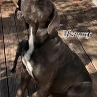 processed/7e297ba2-f4c4-410c-b167-b8451ad8fd57/facility/6d2eedc4-24f9-480e-8a37-6700bfb9e22a