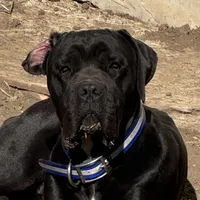 processed/7e297ba2-f4c4-410c-b167-b8451ad8fd57/facility/831f63fd-6b15-430d-b5ee-6cadecd8d189