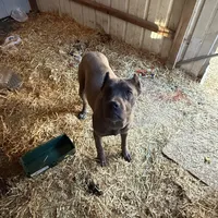 processed/7e297ba2-f4c4-410c-b167-b8451ad8fd57/facility/969f4042-fd0f-4818-870d-7e35307e00cd