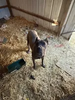 processed/7e297ba2-f4c4-410c-b167-b8451ad8fd57/facility/969f4042-fd0f-4818-870d-7e35307e00cd