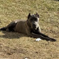 processed/7e297ba2-f4c4-410c-b167-b8451ad8fd57/facility/c7dc23eb-8049-4f40-b11d-b33034c60be8