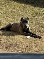 processed/7e297ba2-f4c4-410c-b167-b8451ad8fd57/facility/c7dc23eb-8049-4f40-b11d-b33034c60be8