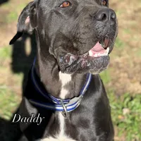 processed/7e297ba2-f4c4-410c-b167-b8451ad8fd57/facility/d4399ec1-0aec-4eb1-b499-f8e25cf314ef