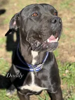 processed/7e297ba2-f4c4-410c-b167-b8451ad8fd57/facility/d4399ec1-0aec-4eb1-b499-f8e25cf314ef