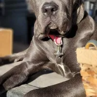 processed/7e297ba2-f4c4-410c-b167-b8451ad8fd57/facility/ddef16fc-15de-47ef-8bc5-f84abe4f15d8