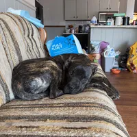 processed/7e297ba2-f4c4-410c-b167-b8451ad8fd57/facility/f0a1d7c9-f272-4384-b03e-6e31a79d4299