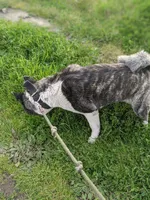 processed/7e2d87bb-a8b6-4243-8d15-c6c7371ad994/listing/cb90fde0-c819-4956-b6a2-51eae02a9add/026f3fd0-2547-4cab-a485-75f17f1086be