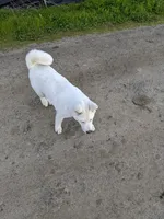 processed/7e2d87bb-a8b6-4243-8d15-c6c7371ad994/listing/cb90fde0-c819-4956-b6a2-51eae02a9add/28f1613b-c3d7-4a9f-8a7e-b63058f6dde6