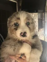 processed/7e34b942-771c-417a-88b4-871f1fd0363c/facility/20f5dd06-a0dc-417b-a2f6-c0b4b404521c